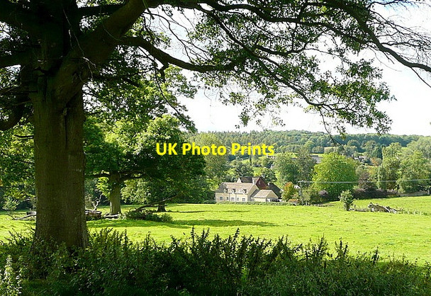 Photo 6"x4" Pasture north of Sherborne Sherborne\/SP1714 c2012