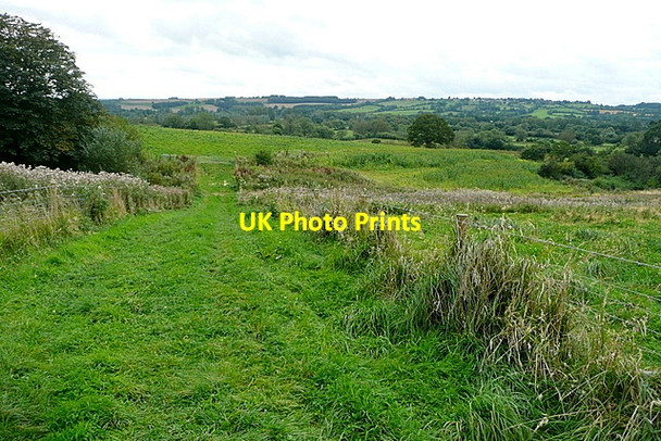 Photo 6"x4" Footpath towards Leasow Lane Little Rissington c2012