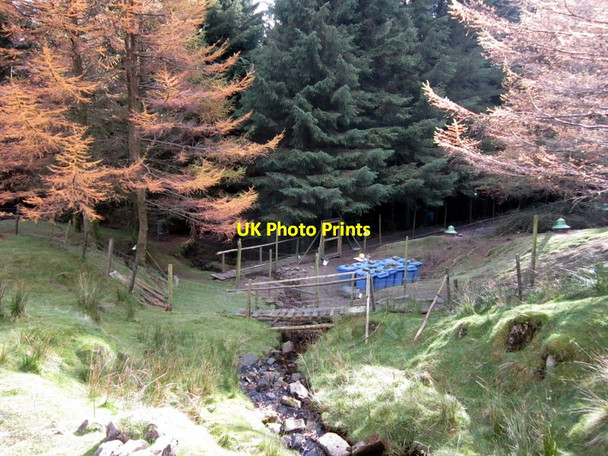 Photo 6"x4" The Dales Way Oughtershaw c2012