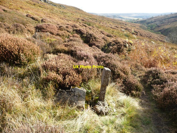 Photo 6"x4" Water mains marker, Esk Valley Way Westerdale\/NZ6605 c2012