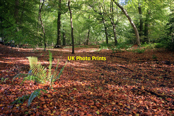 Photo 6"x4" The Chiltern Way at Huntercombe Huntercombe End c2012