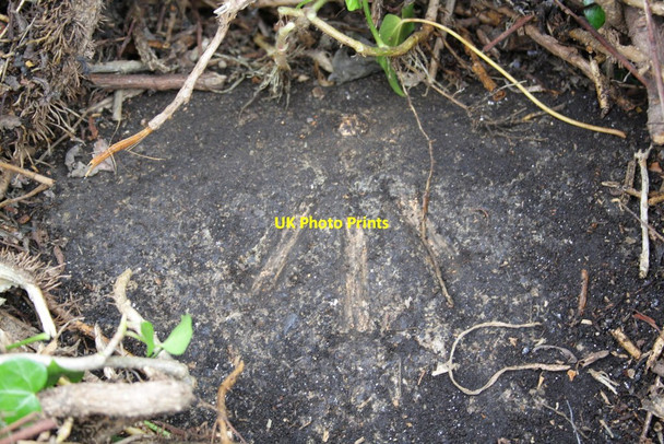 Photo 6"x4" Benchmark on parapet of bridge over Cold Kelds Beck East Witton c2012