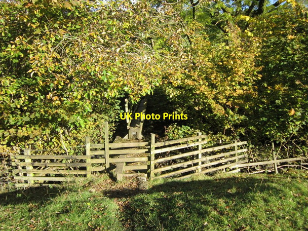 Photo 6"x4" The Dales Way Cowgill\/SD7587 c2012 P2
