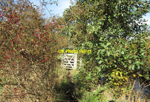 Photo 6"x4" The Dales Way Dent\/SD7086 c2012 P13