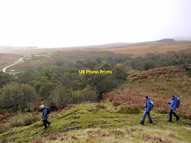 Photo 6"x4" Lilburn valley north-east of The Dod Ilderton c2012