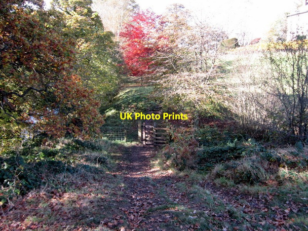 Photo 6"x4" The Dales Way Sedbergh c2012 P1