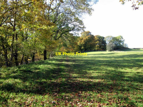 Photo 6"x4" The Dales Way Sedbergh c2012 P1
