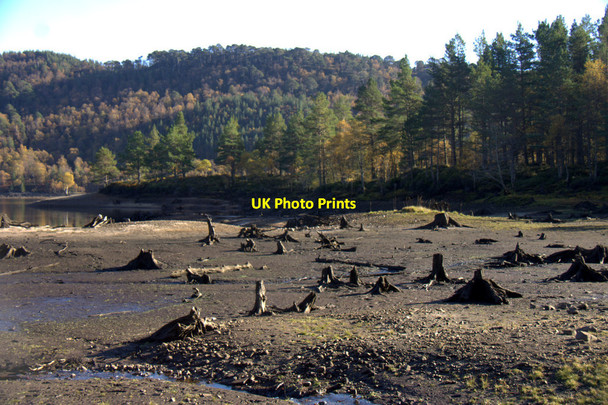 Photo 6"x4" Dead trees in Loch Beinn a' Mheadhoin, Glen Affric Loch Carn na Glas-leitire c2012
