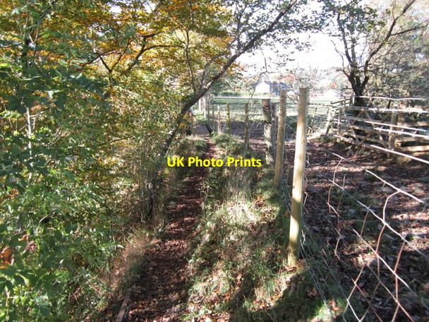 Photo 6"x4" The Dales Way Sedbergh c2012 P2