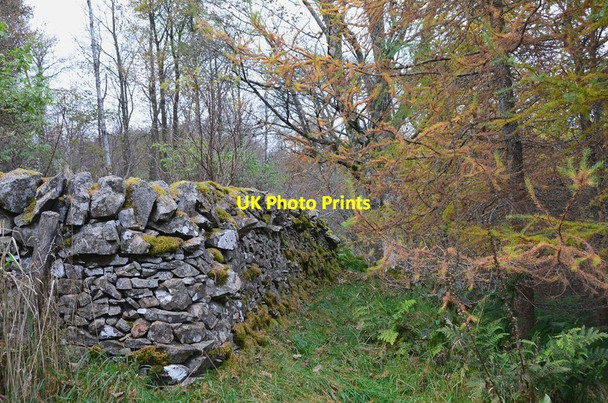Photo 6"x4" An old wall on Ven Law Peebles\/NT2540 c2012