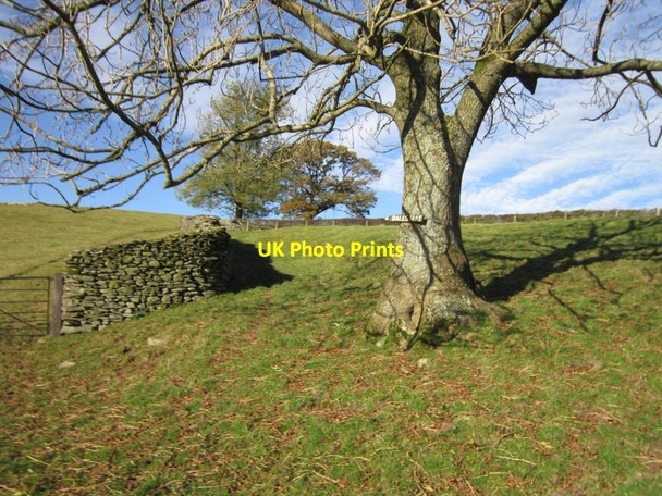 Photo 6"x4" The Dales Way Sedbergh c2012