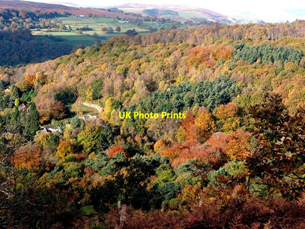 Photo 6"x4" Autumn colour on Longshaw Estate Nether Padley c2012