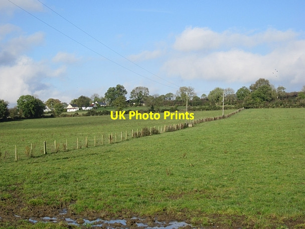 Photo 6"x4" Grassland off Berryhill Road Dunnamanagh c2012