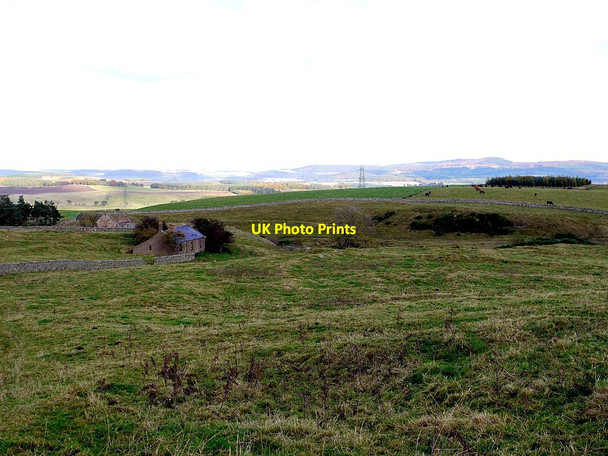 Photo 6"x4" Middleton Old Town South Middleton c2012