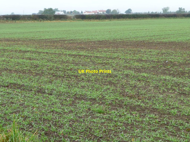 Photo 6"x4" Arable field with footpath along the hedgerow High Coniscliffe c2012