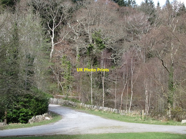 Photo 6"x4" The southern end of Tollymore's Old Bridge Newcastle\/J3732 c2011