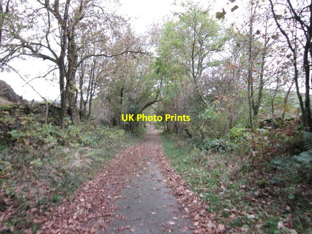 Photo 6"x4" The Dales Way Crook\/SD4695 c2012