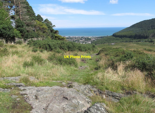 Photo 6"x4" Path above the Tullybranigan Bog Newcastle\/J3732 c2012