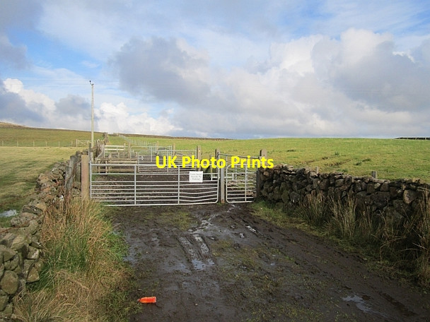Photo 6"x4" Cattle pens off Mullaghsandall Road Carncastle c2012