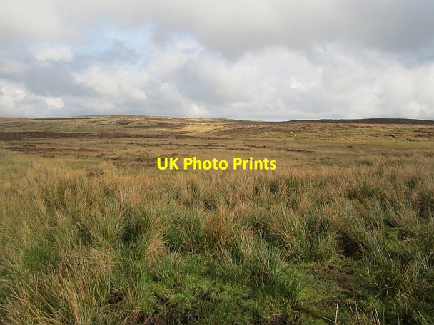 Photo 6"x4" Rough grazing Carncastle c2012