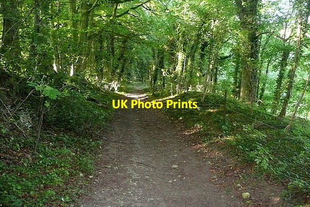 Photo 6"x4" Restricted byway near Workham Farm Fifield\/SP2418 c2012