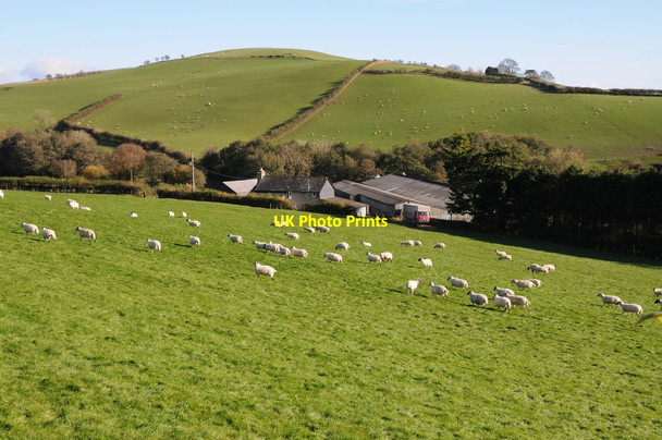 Photo 6"x4" Wern Farm, Colva Colva c2012