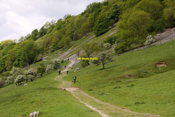 Photo 6"x4" Bridlepath to Rakes Wood Buckden\/SD9477 c2012