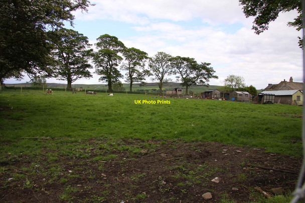 Photo 6"x4" Smallholding near Earby Earby c2012
