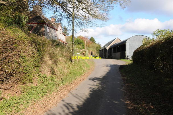 Photo 6"x4" Colva Farm Colva c2012