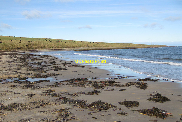 Photo 6"x4" Newton Point Low Newton-by-the-Sea c2012