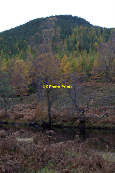Photo 6"x4" Glen Cannich below Muchrachd Loch Craskie c2012