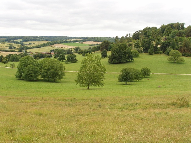 Photo 6"x4" Stonor Park Pishill c2008
