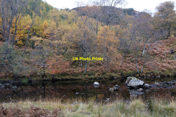 Photo 6"x4" Glen Cannich below Muchrachd Loch Craskie c2012