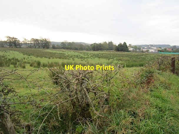 Photo 6"x4" Field, Lismulladuff Killygordon c2012