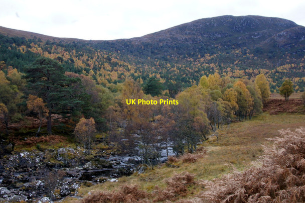 Photo 6"x4" Glen Cannich Muchrachd c2012