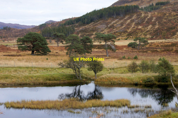 Photo 6"x4" Glen Cannich below Mullardoch Allt a' Ghlais Choire c2012