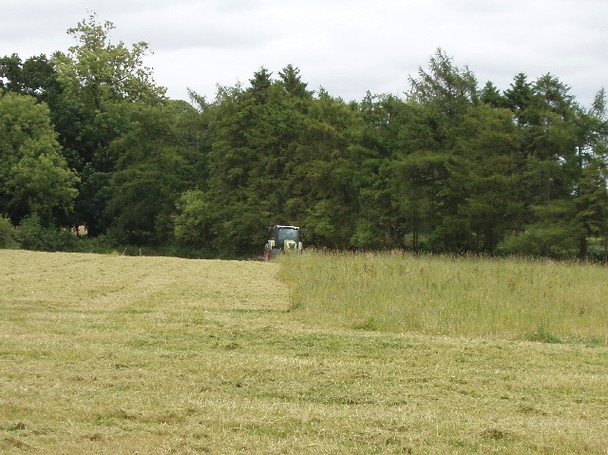 Photo 6"x4" Mowing grass Stonor c2008