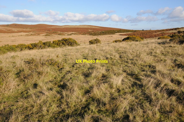 Photo 6"x4" Disgwylfa Hill Newchurch\/SO2150 c2012