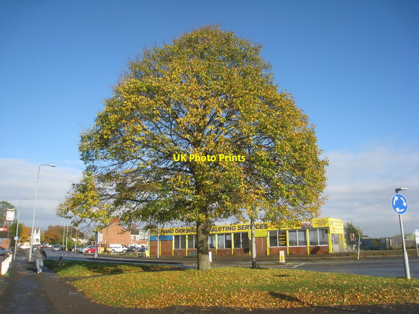 Photo 6"x4" Normanby Road in autumn Scunthorpe c2012
