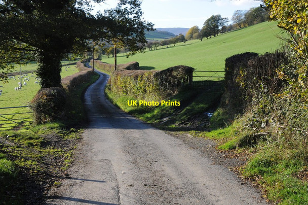 Photo 6"x4" Road to Newchurch Newchurch\/SO2150 c2012