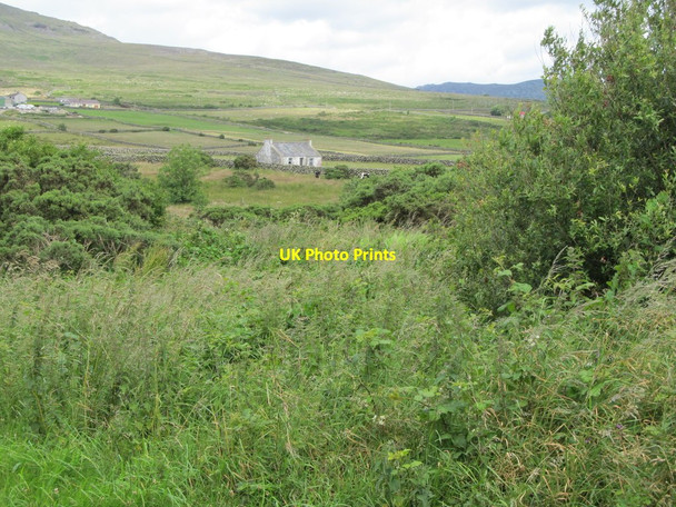 Photo 6"x4" Derelict cottage on marginal land Ballymartin c2012