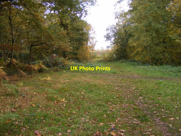 Photo 6"x4" Plantation Footpath Blakeley\/SO8692 c2012