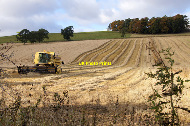 Photo 6"x4" Combine harvester in a field near Balblair Balblair\/NH5045 c2012