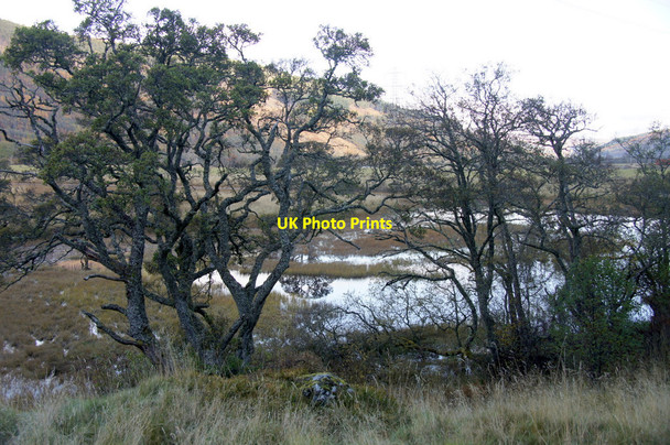 Photo 6"x4" Loch an Eilein, Strathglass Easter Crochail c2012