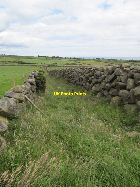 Photo 6"x4" Little used green lane providing access to fields east  of Brackenagh East Road  Ballymartin c2012