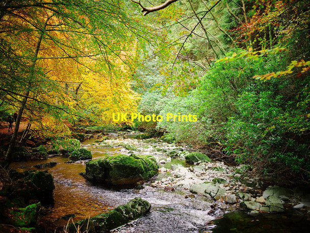 Photo 6"x4" The Shimna River, Tollymore Forest Park Newcastle\/J3732 c2012