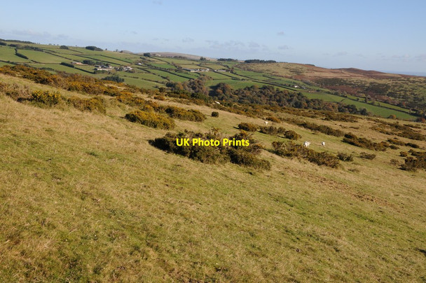 Photo 6"x4" Farmland above Newchurch Dol-y-cannau\/SO2049 c2012