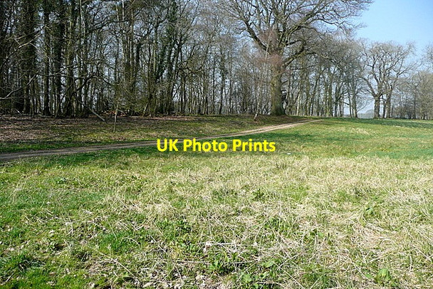 Photo 6"x4" Near Little Green Farm Barnard Gate c2012