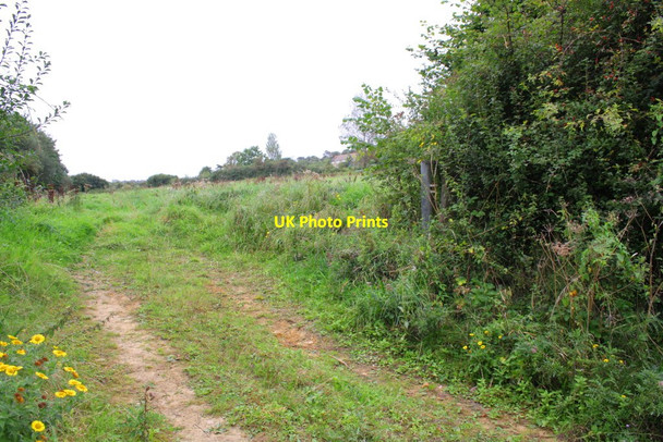 Photo 6"x4" A field just north of the A35 site of Seaview Cottages Bridport c2012