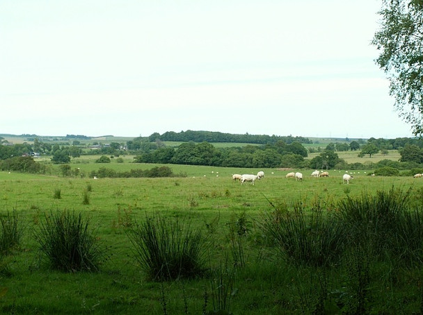 Photo 6"x4" Grazing land above the valley of the Cam Beck Kirkcambeck c2008